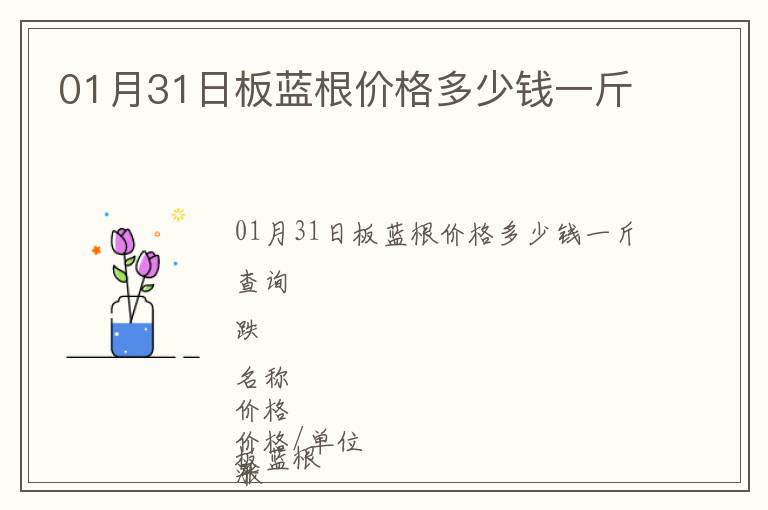 01月31日板藍(lán)根價(jià)格多少錢(qián)一斤