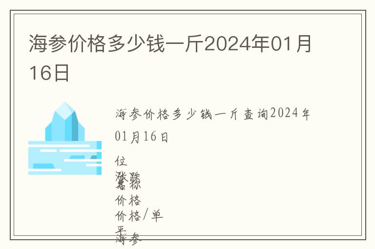 海參價格多少錢一斤2024年01月16日