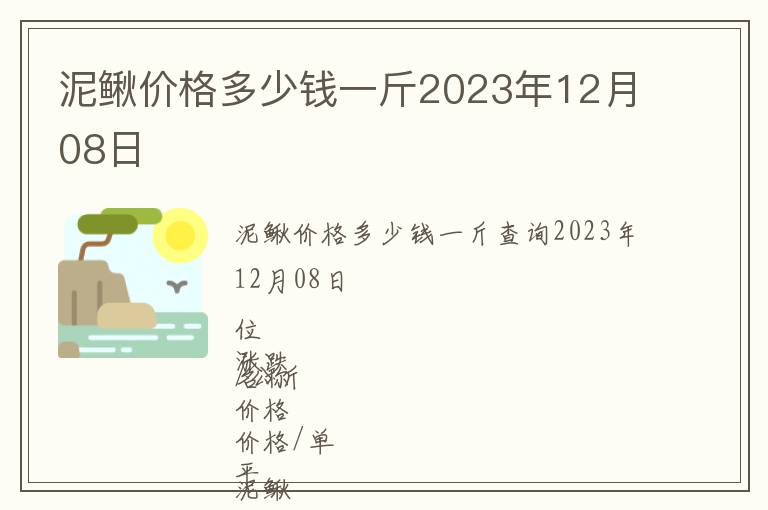 泥鰍價格多少錢一斤2023年12月08日