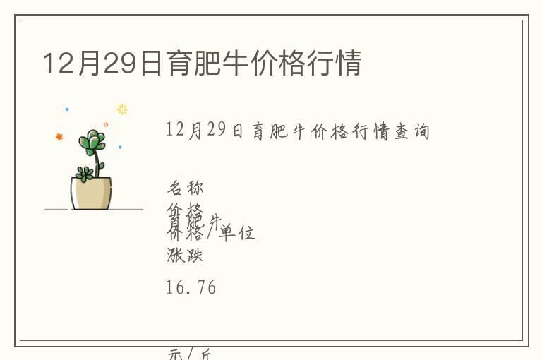 12月29日育肥牛價(jià)格行情