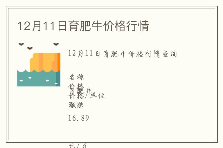 12月11日育肥牛價格行情