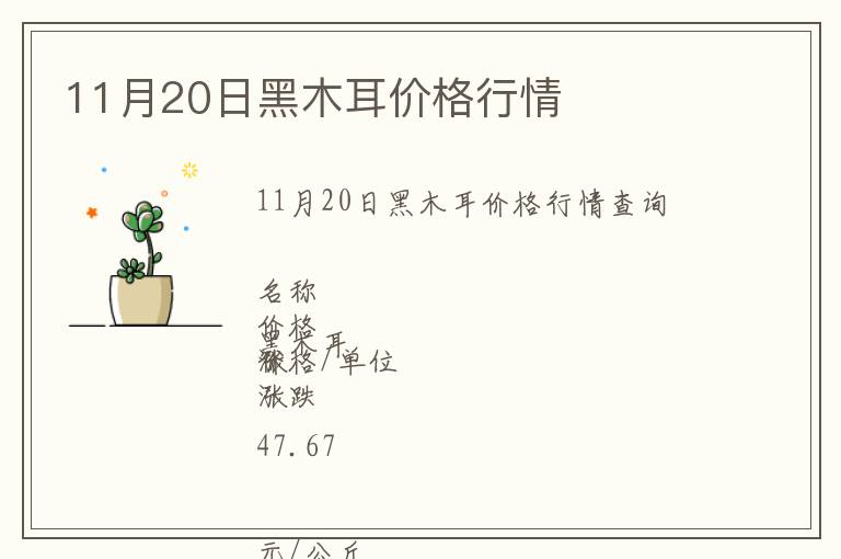 11月20日黑木耳價(jià)格行情