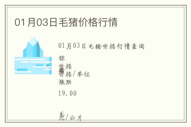 01月03日毛豬價格行情