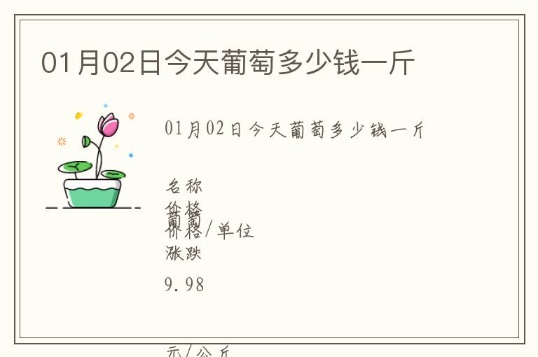 01月02日今天葡萄多少錢一斤
