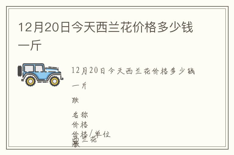 12月20日今天西蘭花價格多少錢一斤