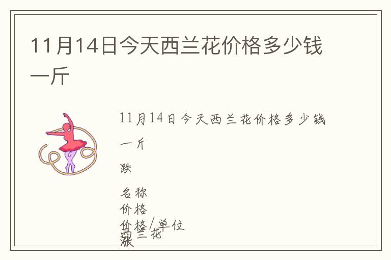 11月14日今天西蘭花價格多少錢一斤
