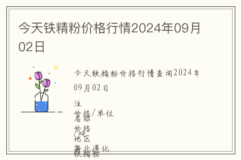 今天鐵精粉價格行情2024年09月02日