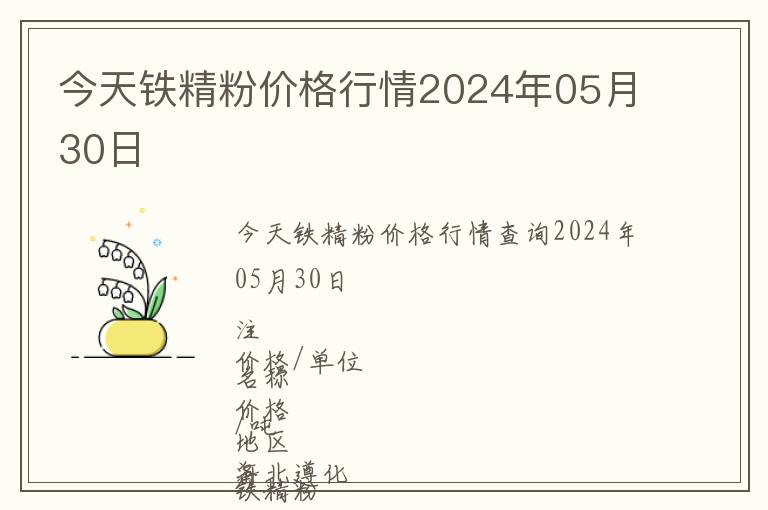 今天鐵精粉價格行情2024年05月30日