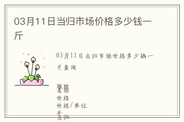 03月11日當歸市場價格多少錢一斤