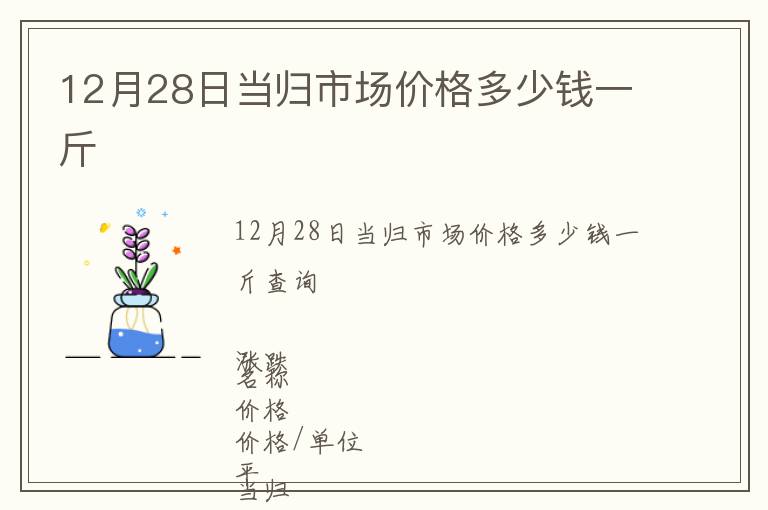 12月28日當歸市場價格多少錢一斤