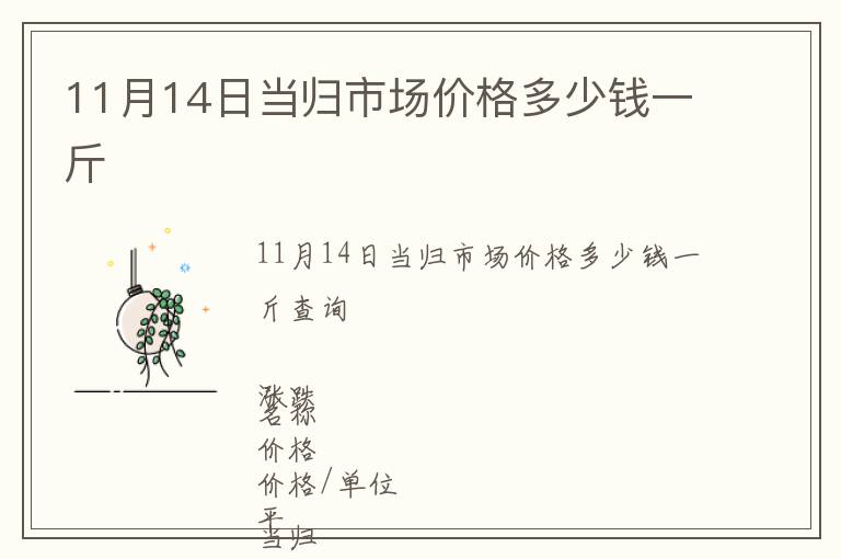 11月14日當歸市場價格多少錢一斤