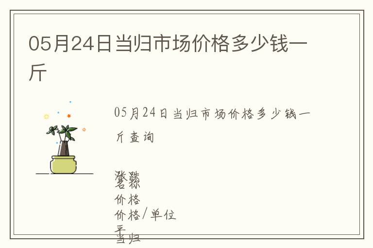 05月24日當歸市場價格多少錢一斤