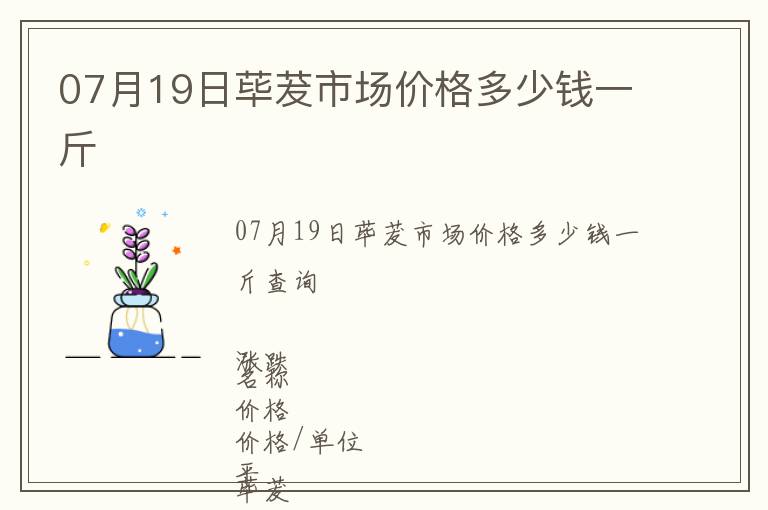 07月19日蓽茇市場價格多少錢一斤
