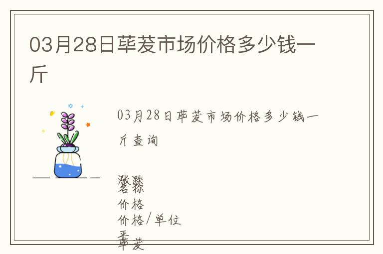 03月28日蓽茇市場價格多少錢一斤