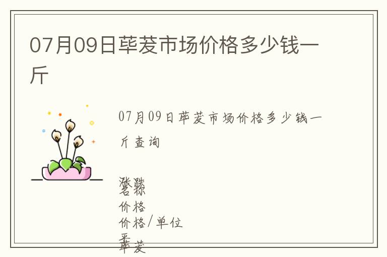 07月09日蓽茇市場價格多少錢一斤