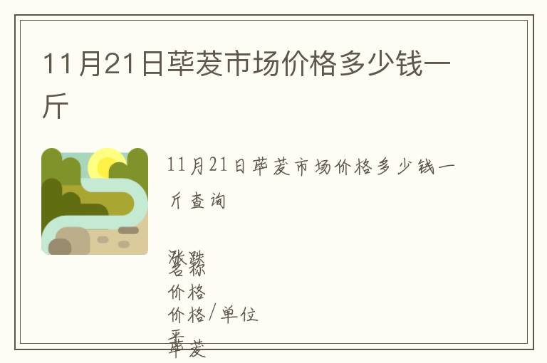 11月21日蓽茇市場價格多少錢一斤