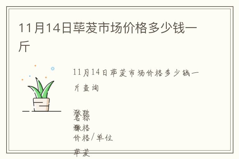 11月14日蓽茇市場價(jià)格多少錢一斤