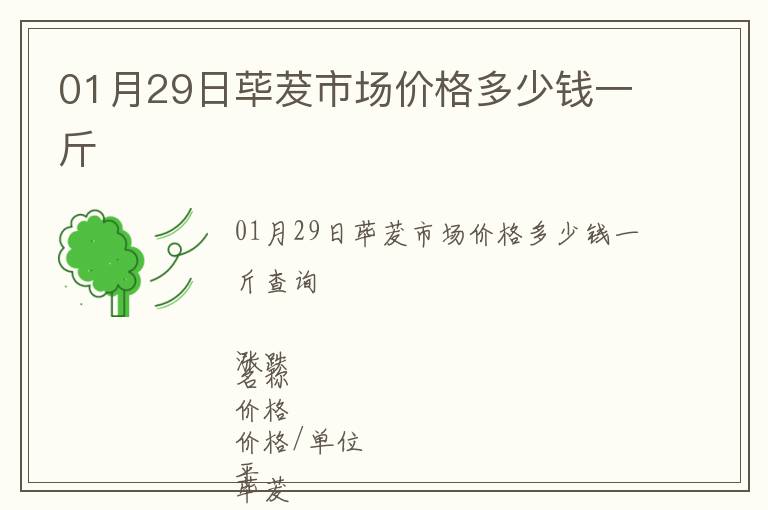 01月29日蓽茇市場價格多少錢一斤