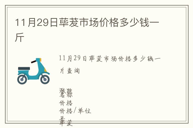 11月29日蓽茇市場價格多少錢一斤