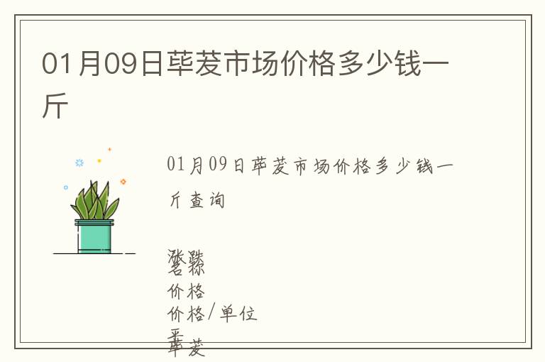 01月09日蓽茇市場價格多少錢一斤