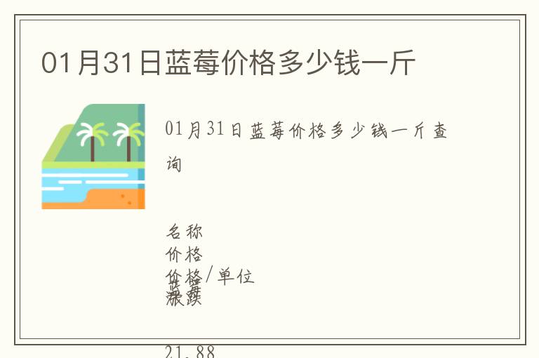01月31日藍莓價格多少錢一斤