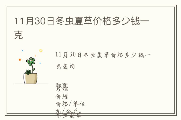 11月30日冬蟲夏草價格多少錢一克