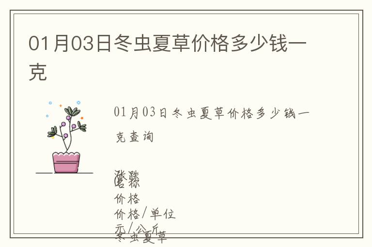 01月03日冬蟲夏草價(jià)格多少錢一克