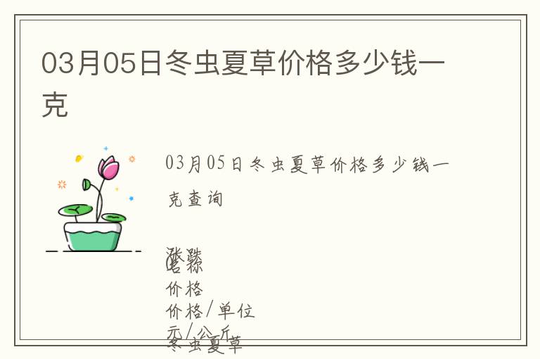 03月05日冬蟲夏草價格多少錢一克