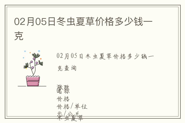 02月05日冬蟲夏草價(jià)格多少錢一克