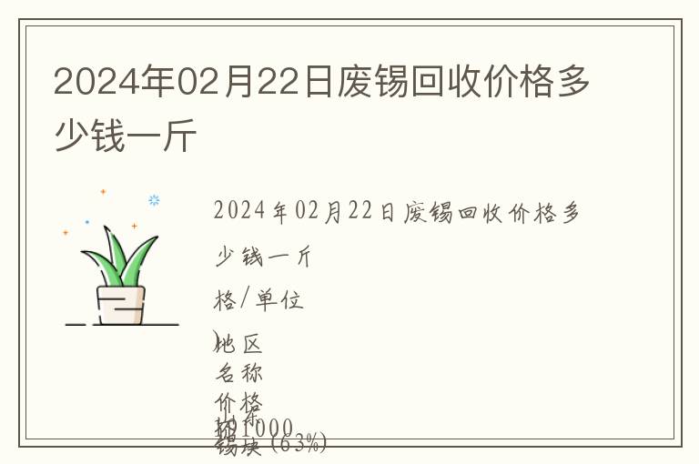 2024年02月22日廢錫回收價格多少錢一斤