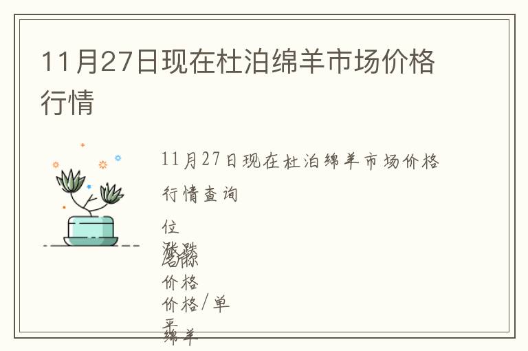11月27日現在杜泊綿羊市場價格行情