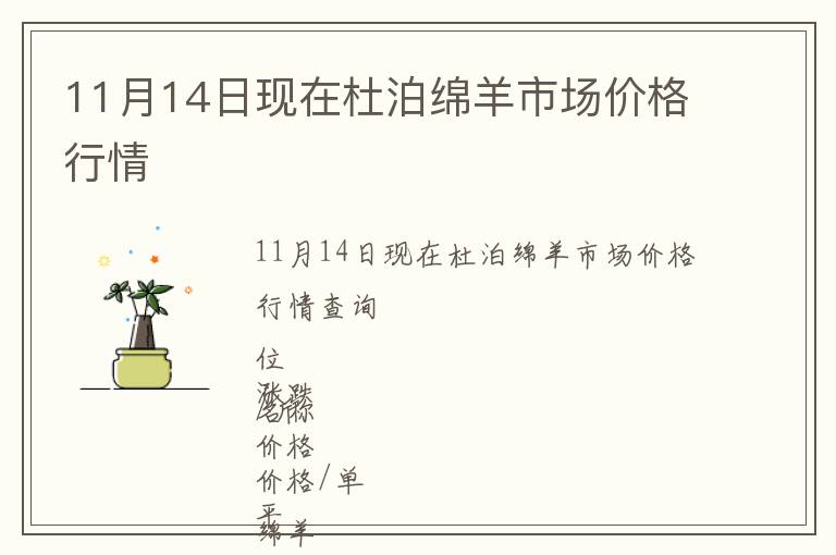 11月14日現(xiàn)在杜泊綿羊市場(chǎng)價(jià)格行情