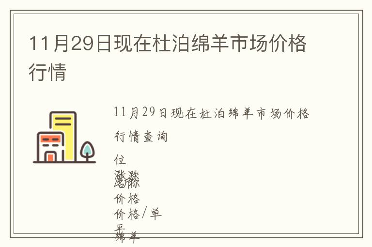11月29日現在杜泊綿羊市場價格行情