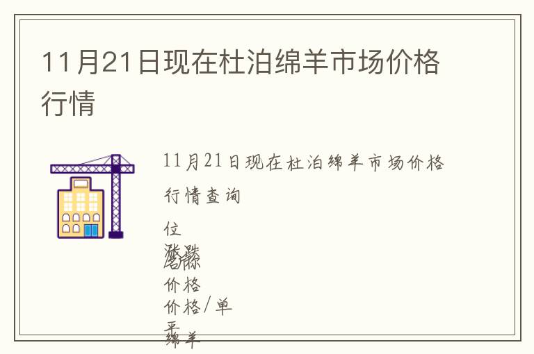 11月21日現在杜泊綿羊市場價格行情