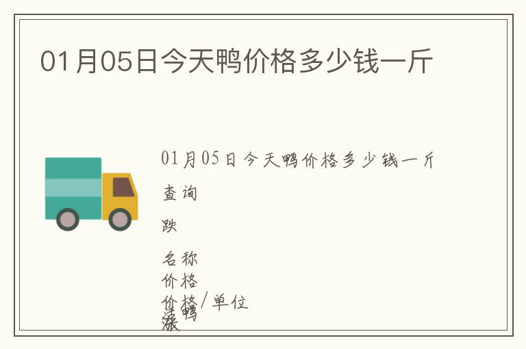 01月05日今天鴨價(jià)格多少錢一斤