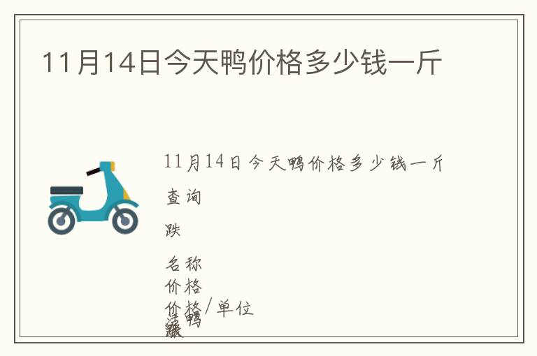 11月14日今天鴨價格多少錢一斤