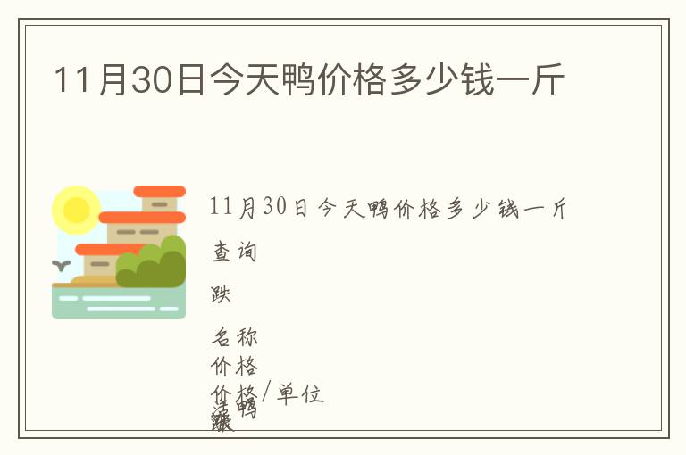 11月30日今天鴨價(jià)格多少錢一斤