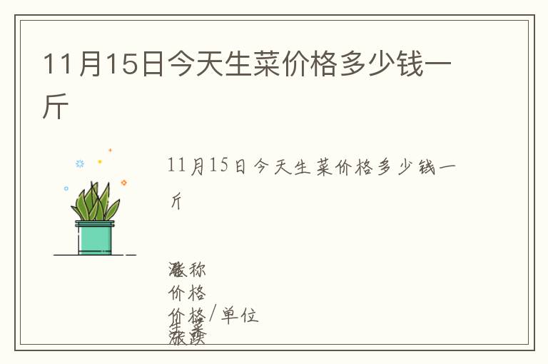 11月15日今天生菜價格多少錢一斤