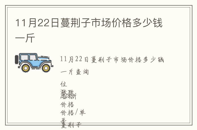 11月22日蔓荊子市場價格多少錢一斤