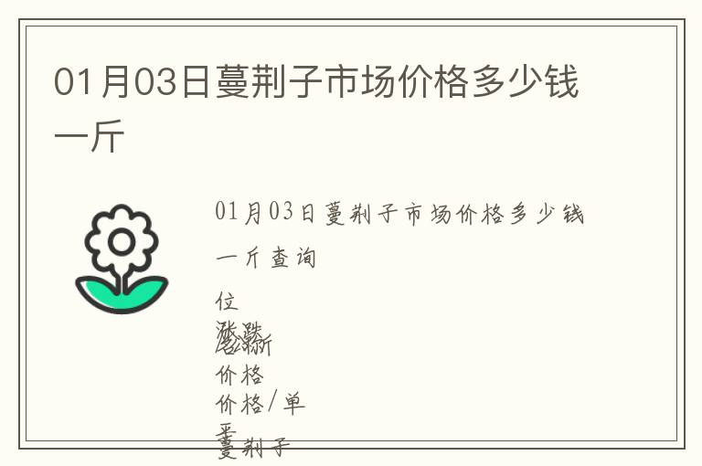 01月03日蔓荊子市場(chǎng)價(jià)格多少錢一斤