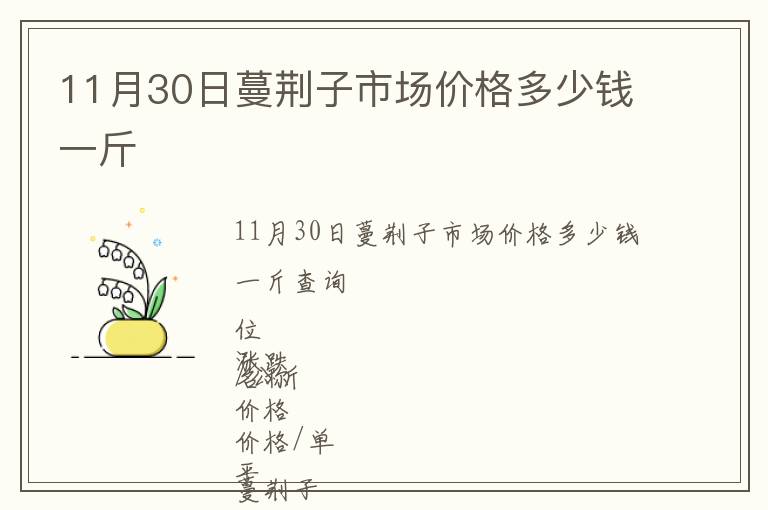 11月30日蔓荊子市場(chǎng)價(jià)格多少錢一斤