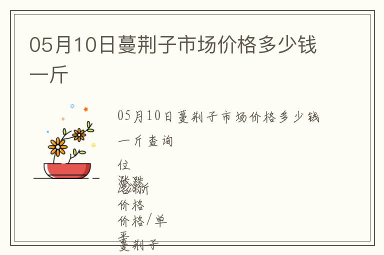 05月10日蔓荊子市場價格多少錢一斤