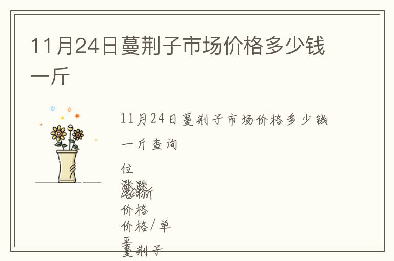11月24日蔓荊子市場價(jià)格多少錢一斤