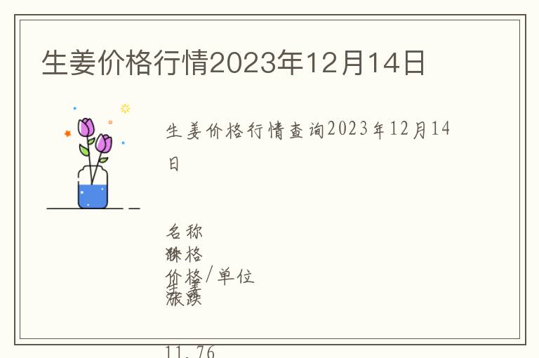 生姜價格行情2023年12月14日