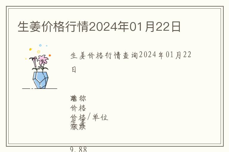 生姜價格行情2024年01月22日