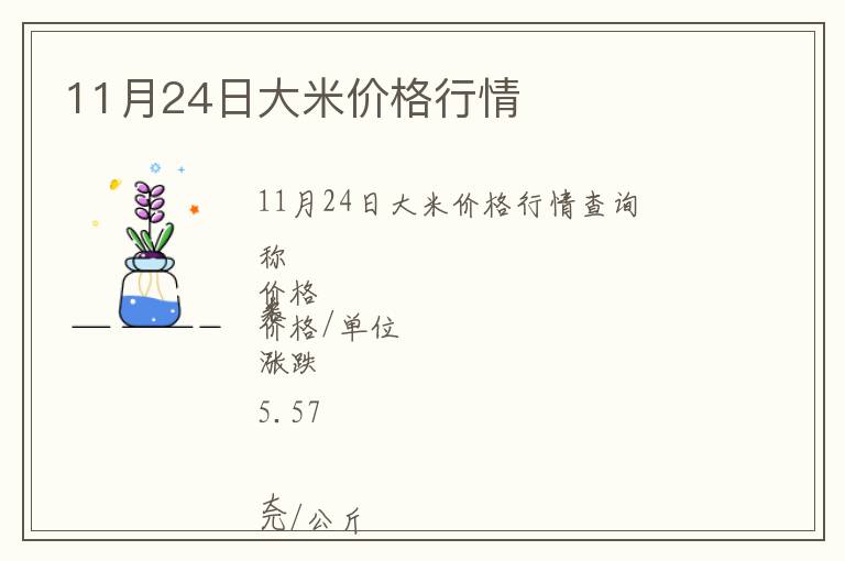 11月24日大米價格行情