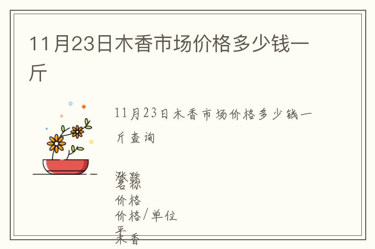 11月23日木香市場價格多少錢一斤