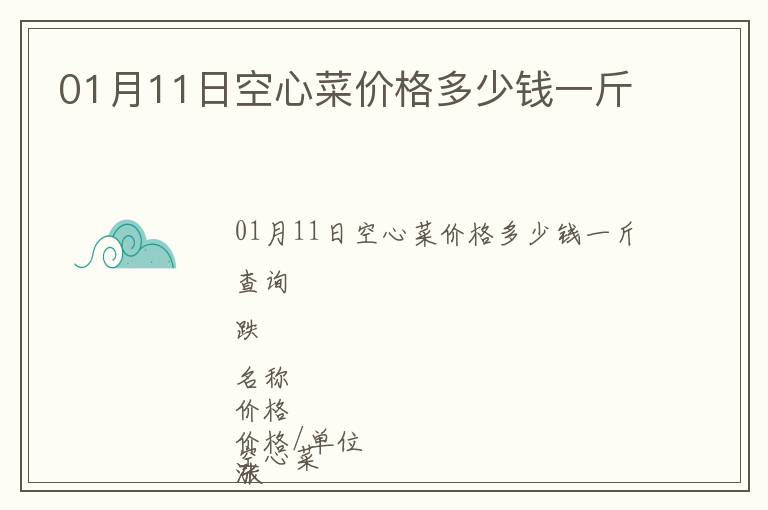 01月11日空心菜價格多少錢一斤