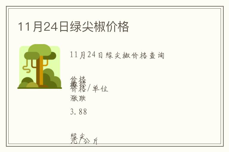 11月24日綠尖椒價格