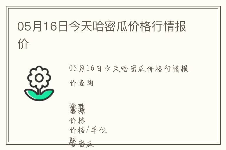 05月16日今天哈密瓜價格行情報價